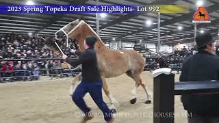 Spring 2023 Topeka Draft Horse Sale Highlights