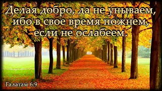 Служение Ц. Благодать 09-30-20