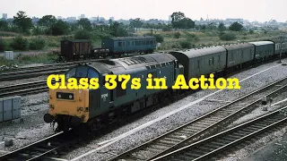 Trains in the 1980s - Class 37s in Action