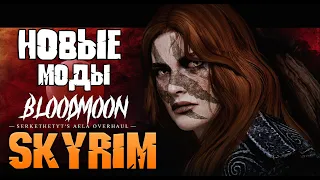 SKYRIM ТОП 10 НОВЫХ МОДОВ еженедельная подборка лучших модов на скайрим