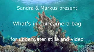 What's in our camera bag for underwater photography and video
