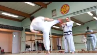 Hapkido JJK - Grandmaster LEE Chang Soo In France 2014