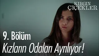 Kızların odaları ayrılıyor! - Kırgın Çiçekler 9. Bölüm