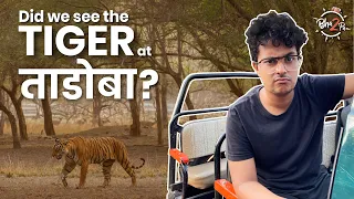 Ultimate Tadoba Experience  | Marathi Man Vs. Wild | #Bha2Pa