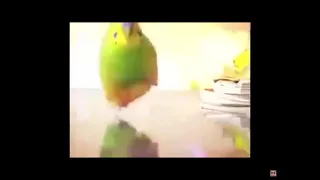 Loro huyendo de explosión xd 😂