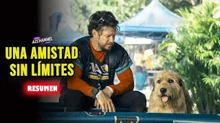 BASADA EN UNA HISTORIA REAL - ARTHUR THE KING | RESUMEN