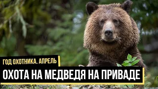 Охота на медведя на приваде. Апрель / Год охотника / #1