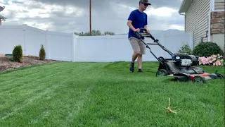 The Art of the Double Cut - An Approach to Cutting Tall Grass