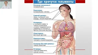 КОМПЛЕКСНОЕ ОЧИЩЕНИЕ ОРГАНИЗМА - ВРЕМЯ ПРИШЛО