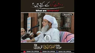 What are terrorists? | دہشت گرد کسے کہتے ہیں ؟ | Short #274 | Shaikh Salahuddin Saifi Naqshbandi D.B