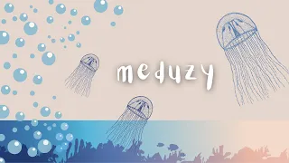 "MEDUZY" - muzyczne inspiracje do zabaw z płytą OCEAN SNÓW Iza Lamik i Basia Derlak