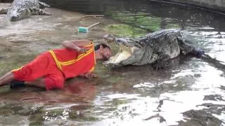 Man Puts his Head in Crocodile's Mouth