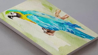 WATERCOLOR PAINTING OF A MACAW PARROT FOR BEGINNERS | BLUE AND GOLD MACAW BIRDS DRAWING STEP BY STEP