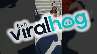 Baby Sister is Overjoyed When She See's Brother After School || ViralHog