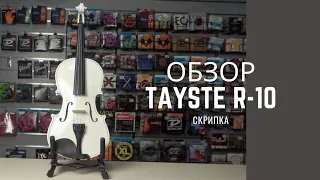 Скрипка Tayste R-10 4/4 - музыкальный магазин Music City