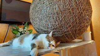 Мастер класс-Домик для кошки из Шпагата.Урок№2---ПОДСТАВКА .House ball for a cat made of jute twine.