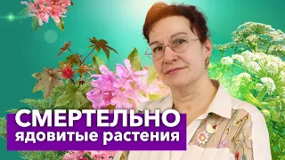 10 САМЫХ ОПАСНЫХ РАСТЕНИЙ на дачном участке! Красивые, но ядовитые цветы