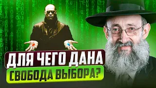 Для чего дана свобода выбора? Рав Ашер Кушнир