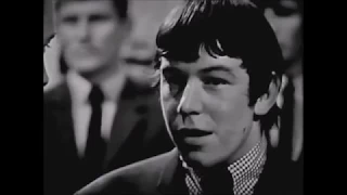 The Animals - Baby Let Me Take You Home  *(RSG!)