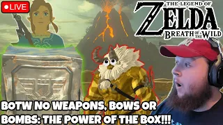 BOTW No Weapons: The Mighty Box Warrior! + Nintendo Direct!!!!