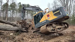 Finished Clearing My Farm Pond Site