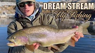 THE DREAM STREAM - Winter Fly Fishing Colorado for LARGE TROUT using TINY FLIES