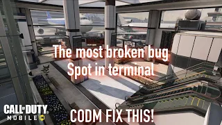 The Most Broken Bug In Terminal So Far... CODM Please Fix This