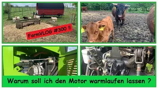 FarmVLOG #300 Hoflader und Schlepper warmlaufen lassen ? Dexterrinder, Geburt und Kennzeichnung