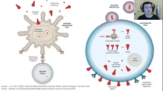 Students Talk Science - COVID-19:  Just The Facts: How the Pfizer mRNA Vaccine Works