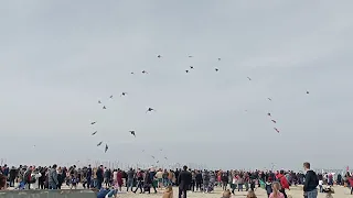 festival du cerf-volant à Berck 2023