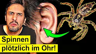 Das passiert, wenn Spinnen plötzlich in dein Ohr kriechen