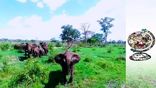 Could Drones Resolve Human-Elephant Conflict in Tanzania?