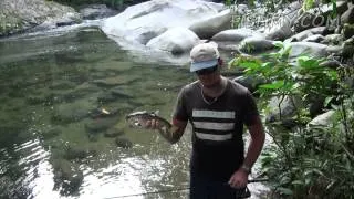 Fishing for Borneo Mahseer