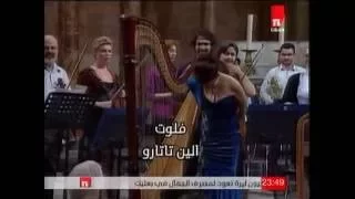W.A.Mozart Flute and Harp Concerto in C major, Allegro