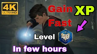 Gain XP Fast in Hogwarts Legacy Tips and Tricks