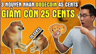 DOGECOIN GIẢM MẠNH 25 CENTS | Lý do Dogecoin giảm | Tương lai tiền tệ | Đầu tư cổ phiếu Mỹ, Crypto