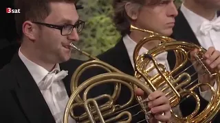 Richard Strauss - Till Elulenspiegels lustige Streiche - Vienna Horn Solo