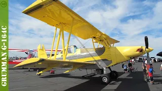 Grumman G 164C Ag Cat - biplane agricultural aircraft - HD