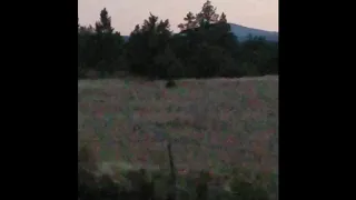 Possible Bigfoot sighting in Central Oregon