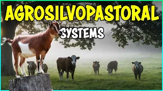 Agrosilvopastoral Systems | Integrated Crop, Trees and Livestock Farming