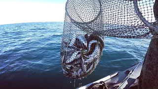 4 января  на Морской рыбалке в Чёрном море / Sea fishing in the Black Sea