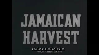 "JAMAICAN HARVEST"  1940s EDUCATIONAL FILM   BANANA PRODUCTION   UNITED FRUIT COMPANY 85514