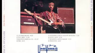 Jimi Hendrix - Live in Denmark 1968 (1 Hour+)