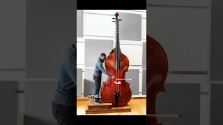 Do you know the biggest violin in the world?