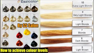 How to change base colour without bleach // hair colour theory by SS Salon//blonde colour highlight