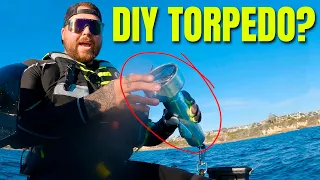 DIY GoPro rig to film dolphins underwater