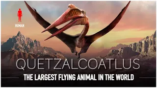 Quetzalcoatlus: The Largest Flying Animal EVER to Live | Dinosaur Documentary