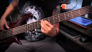 Avenged Sevenfold - Afterlife (Bass Cover Tribute by Gustavo Amaro)