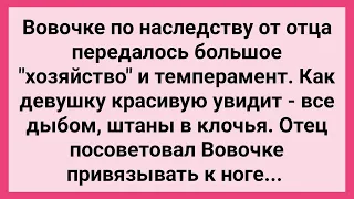 Вовочке от Отца Досталось Большое Хозяйство! Сборник Свежих Смешных Жизненных Анекдотов!