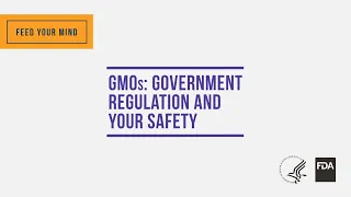 GMOs: Government Regulation and Your Safety